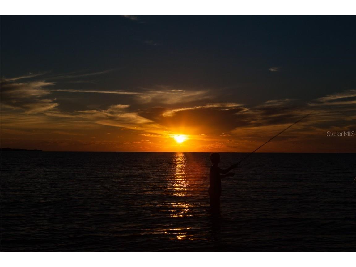 1216 S Missouri Avenue #220 Clearwater FL 33756 TB8440584 image59