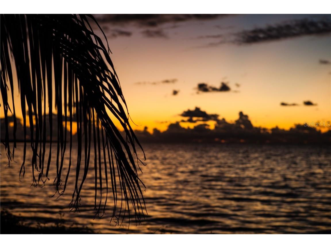 1216 S Missouri Avenue #220 Clearwater FL 33756 TB8440584 image60