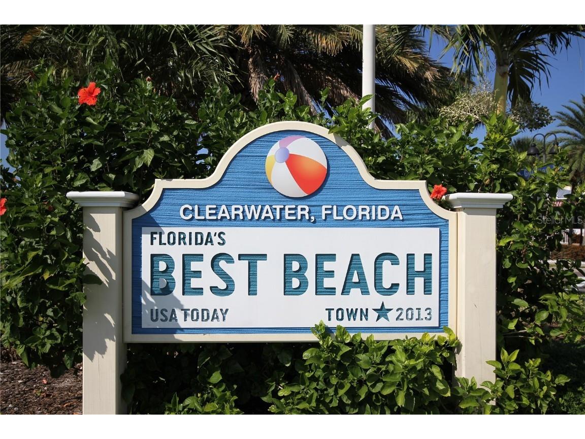 1216 S Missouri Avenue #220 Clearwater FL 33756 TB8440584 image61