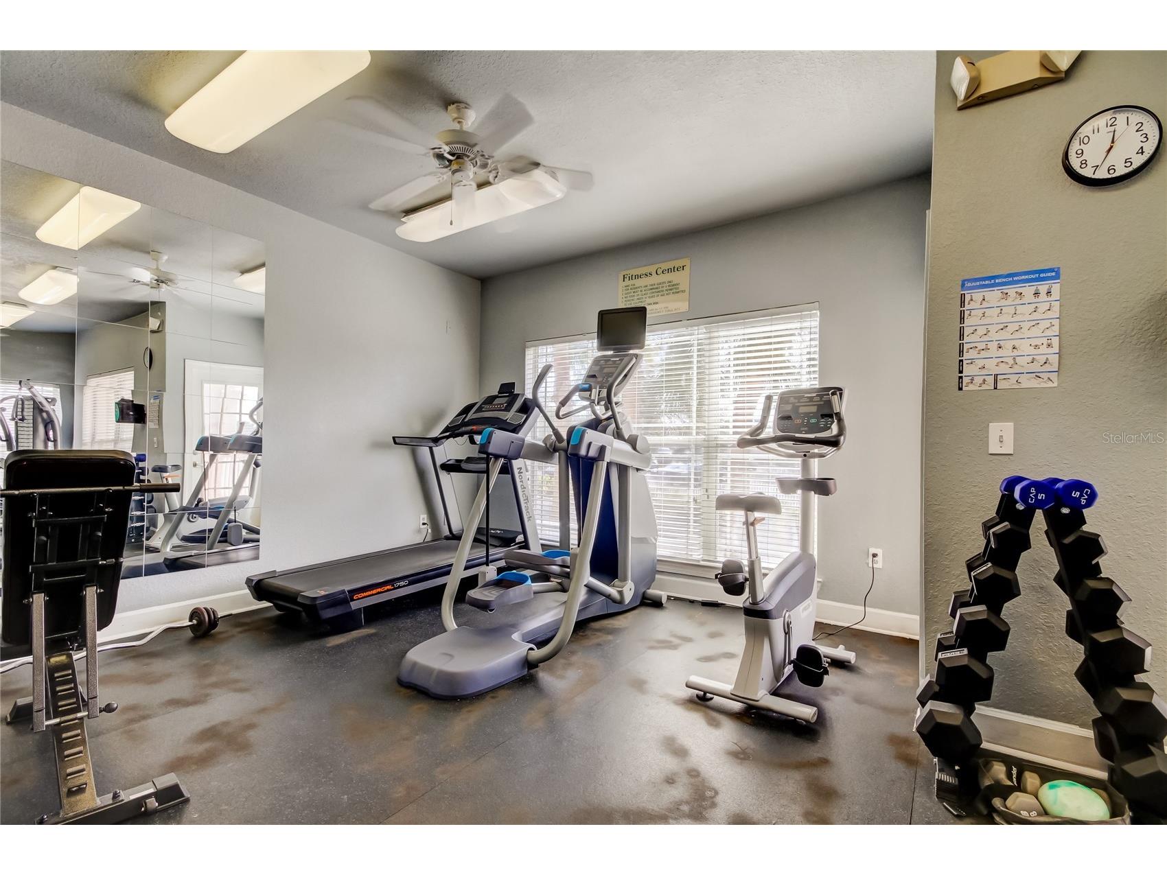 1216 S Missouri Avenue #220 Clearwater FL 33756 TB8516103 image38