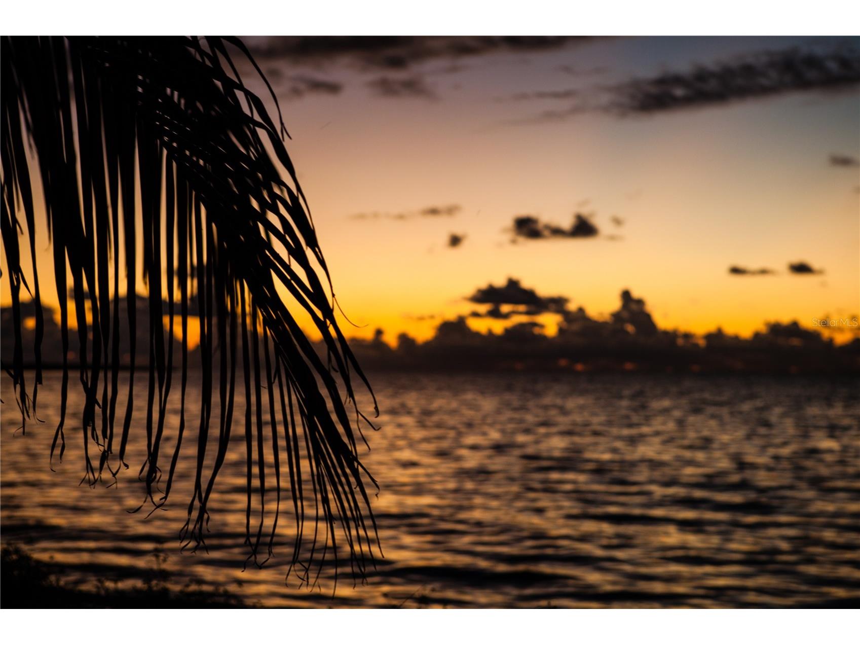 1216 S Missouri Avenue #220 Clearwater FL 33756 TB8516103 image49
