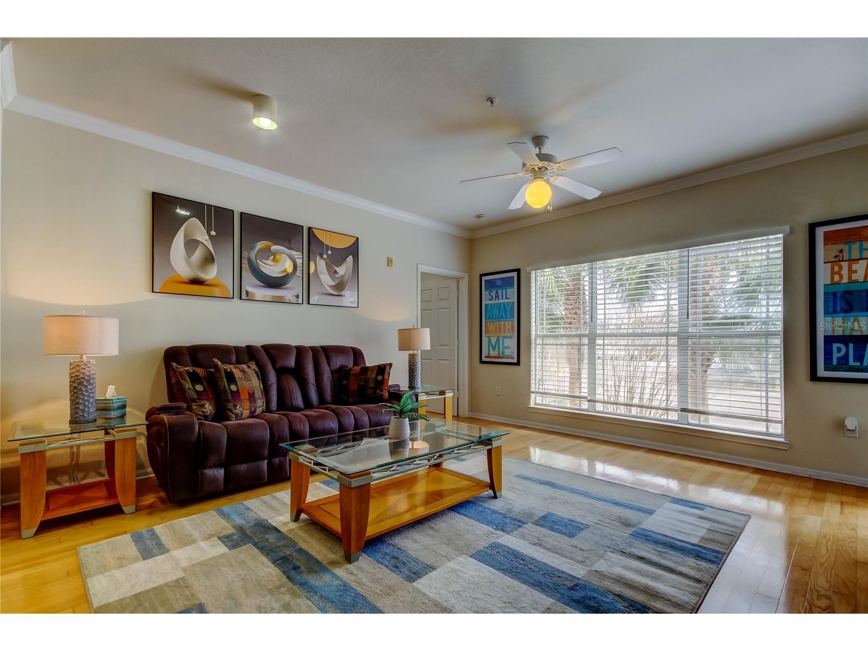 1216 S Missouri Avenue #220 Clearwater FL 33756 TB8516103 image9