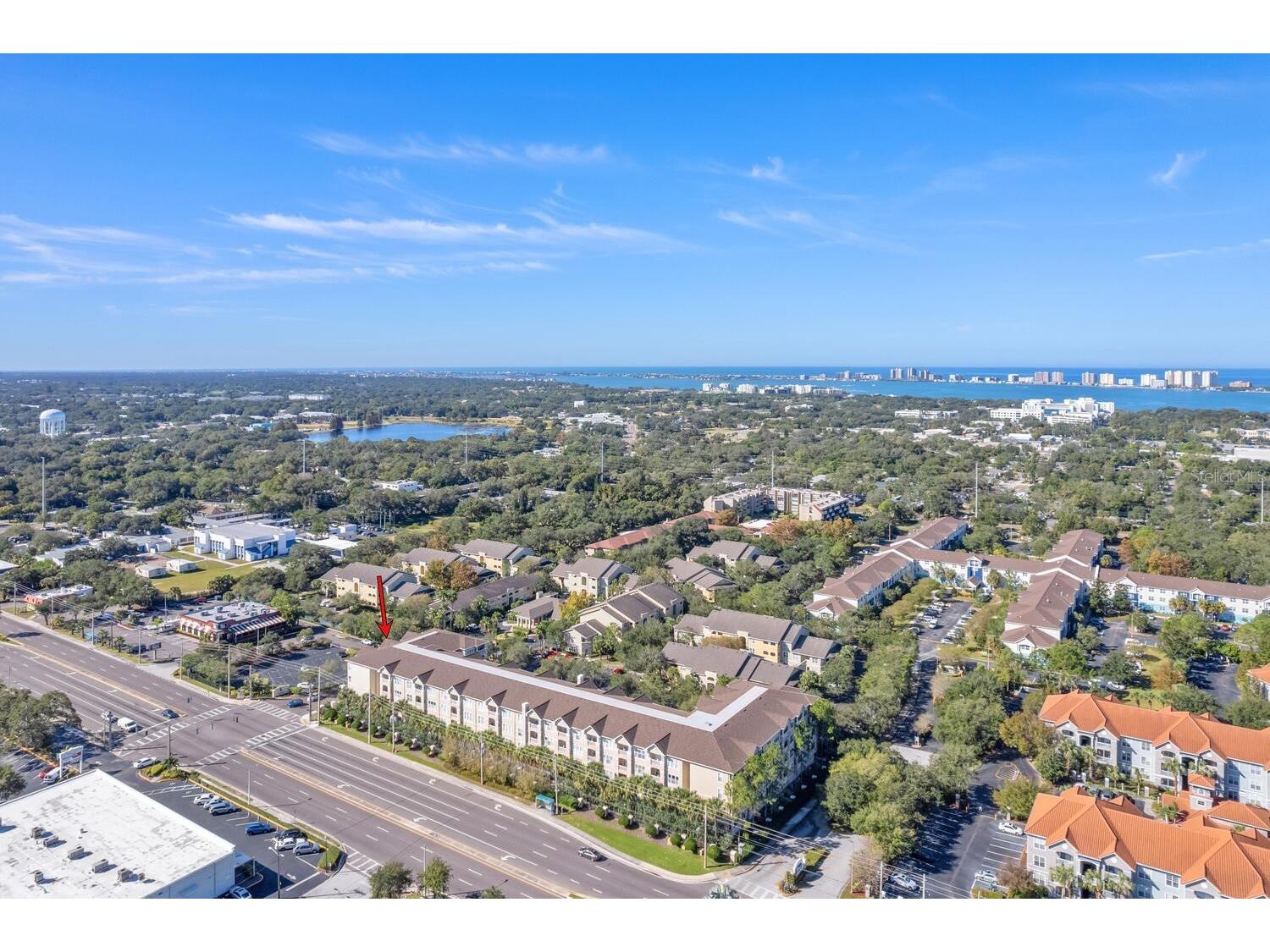1216 S Missouri Avenue #226 Clearwater FL 33756 TB8489737 image4