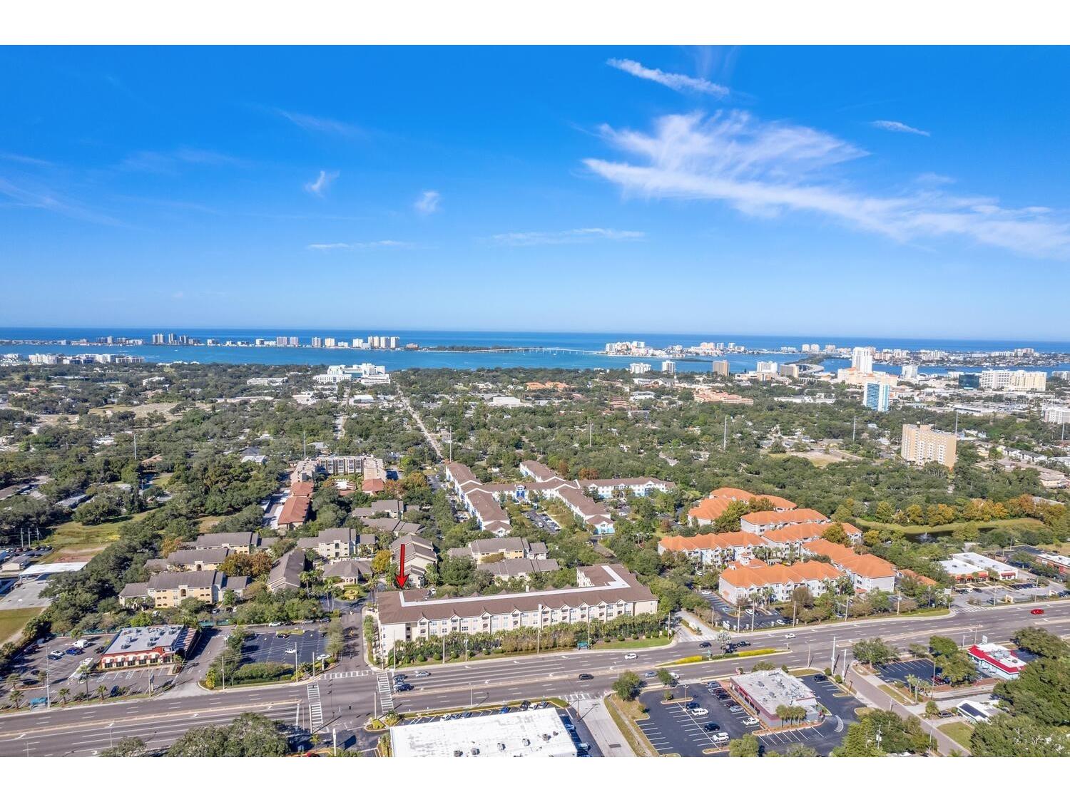 1216 S Missouri Avenue #226 Clearwater FL 33756 TB8489737 image5