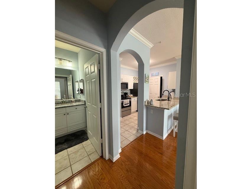 1216 S Missouri Avenue #227 Clearwater FL 33756 TB8509147 image20