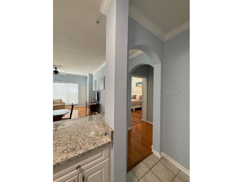 1216 S Missouri Avenue #227 Clearwater FL 33756 TB8509147 image8