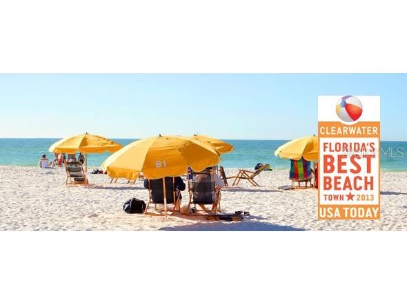 1216 S Missouri Avenue #227 Clearwater FL 33756 U8180344 image33