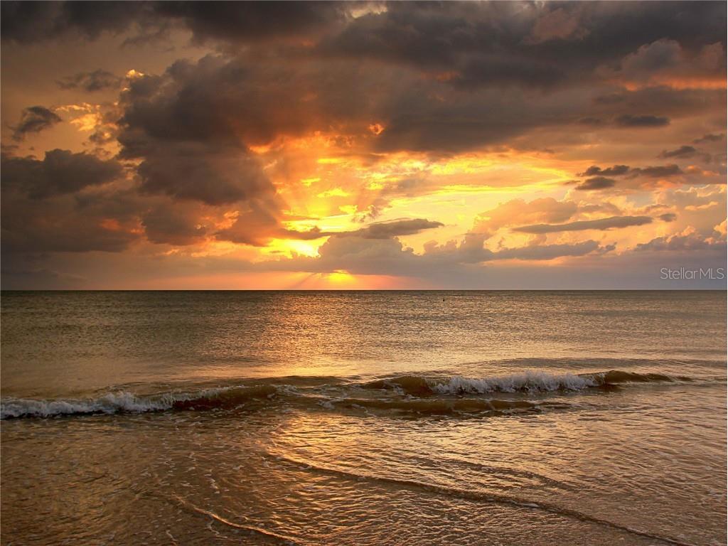 1216 S Missouri Avenue #227 Clearwater FL 33756 U8180344 image34