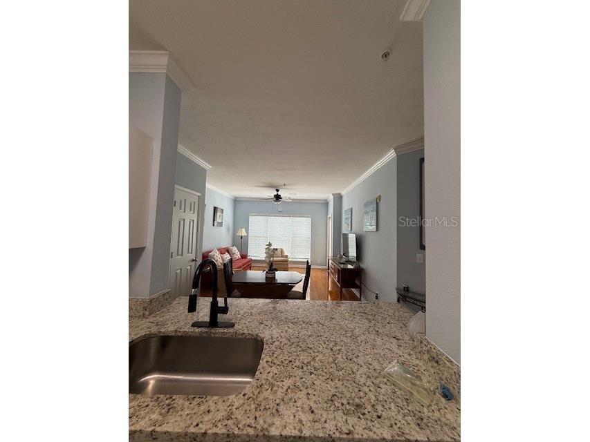 1216 S Missouri Avenue #227 Clearwater FL 33756 U8180344 image9