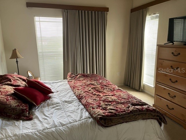 1216 S Missouri Avenue #228 Clearwater FL 33756 U8201686 image15