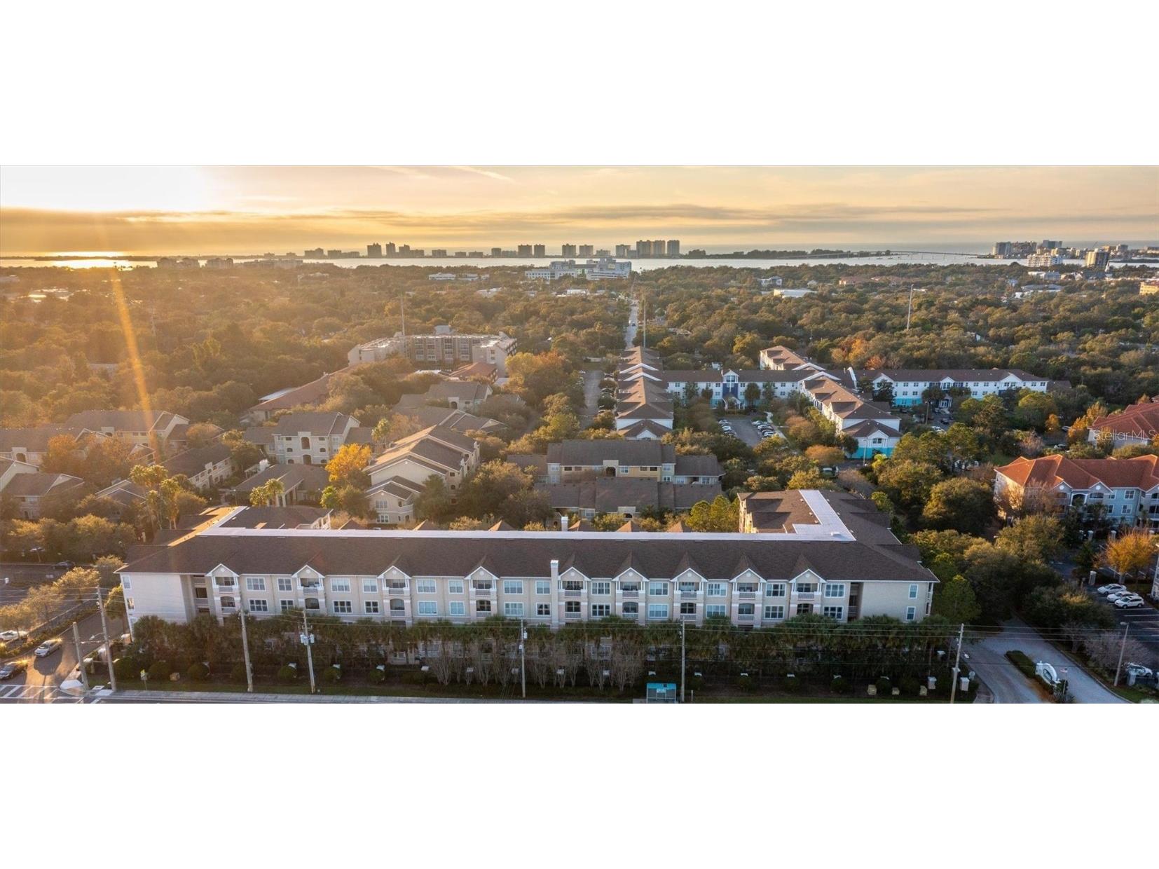 1216 S Missouri Avenue #318 Clearwater FL 33756 U8185306 image1