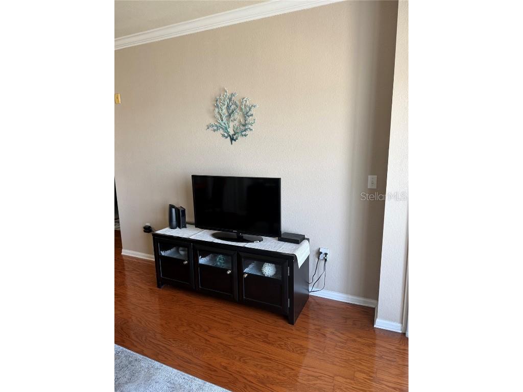 1216 S Missouri Avenue #406 Clearwater FL 33756 TB8425840 image18