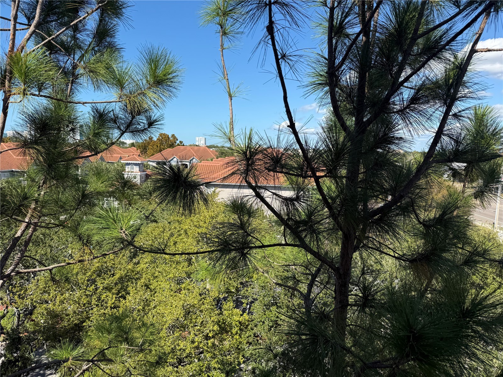 1216 S Missouri Avenue #406 Clearwater FL 33756 TB8506500 image10