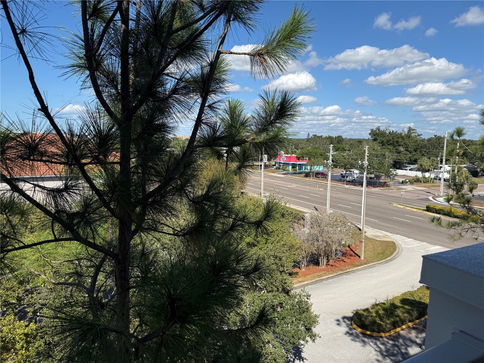 1216 S Missouri Avenue #406 Clearwater FL 33756 TB8506500 image9