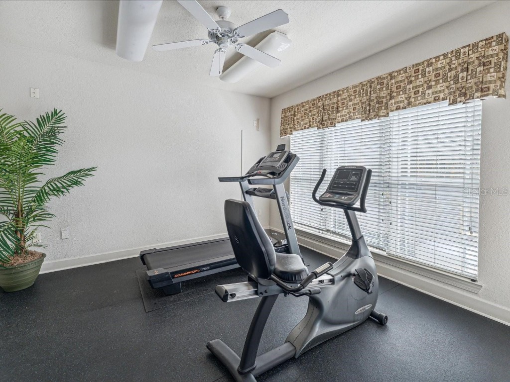 1216 S Missouri Avenue #414 Clearwater FL 33756 TB8436089 image25