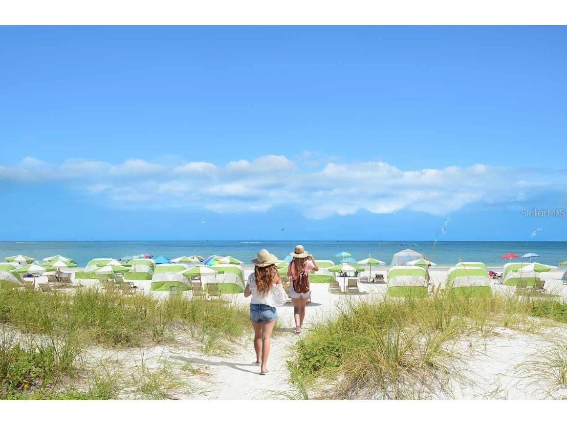 1216 S Missouri Avenue #414 Clearwater FL 33756 TB8436089 image3