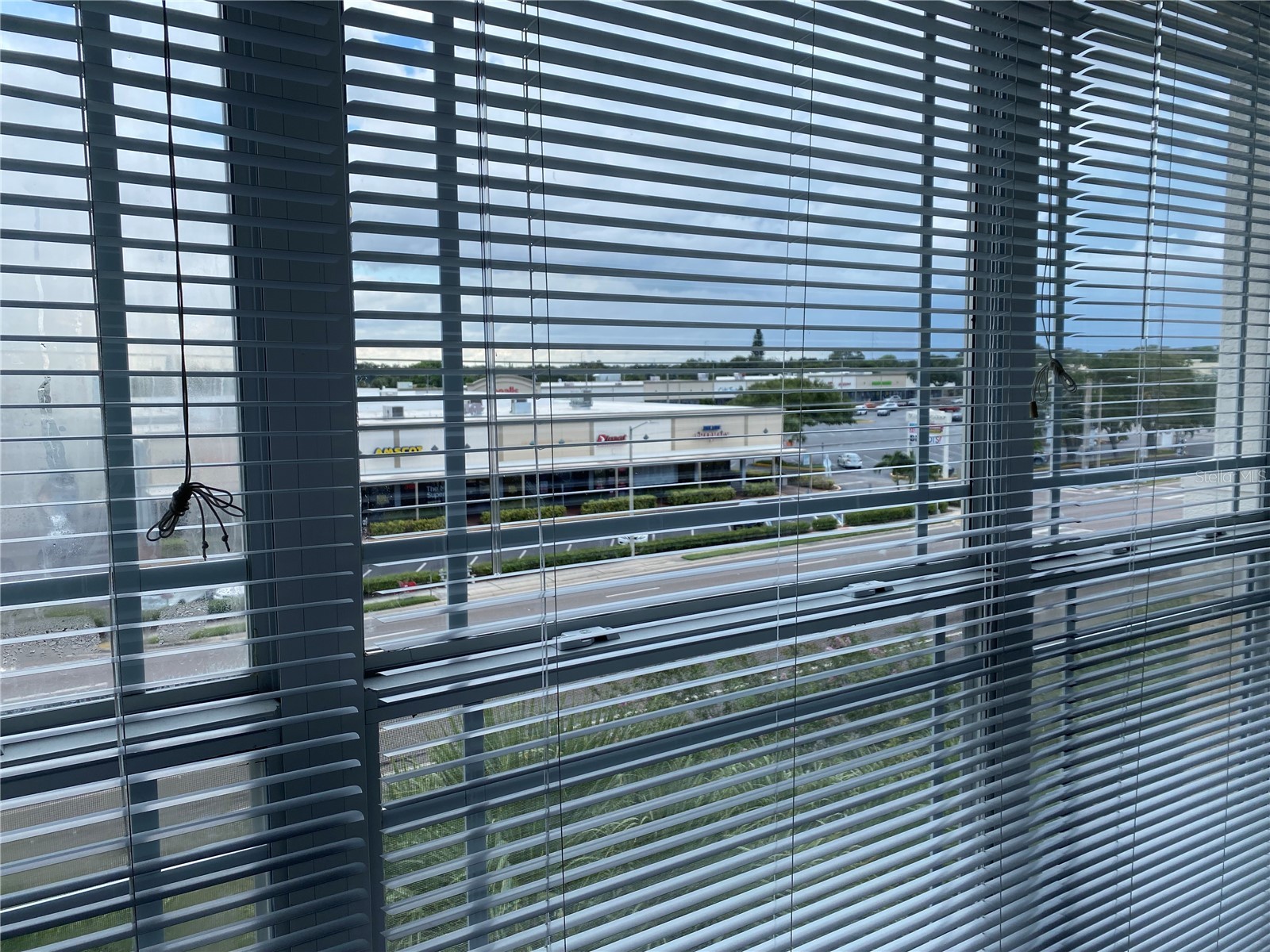 1216 S Missouri Avenue #418 Clearwater FL 33756 TB8465814 image8