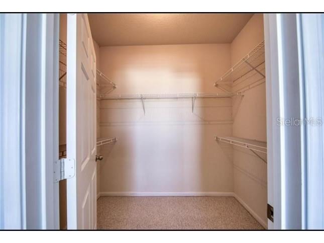 1216 S Missouri Avenue #418 Clearwater FL 33756 TB8481391 image18