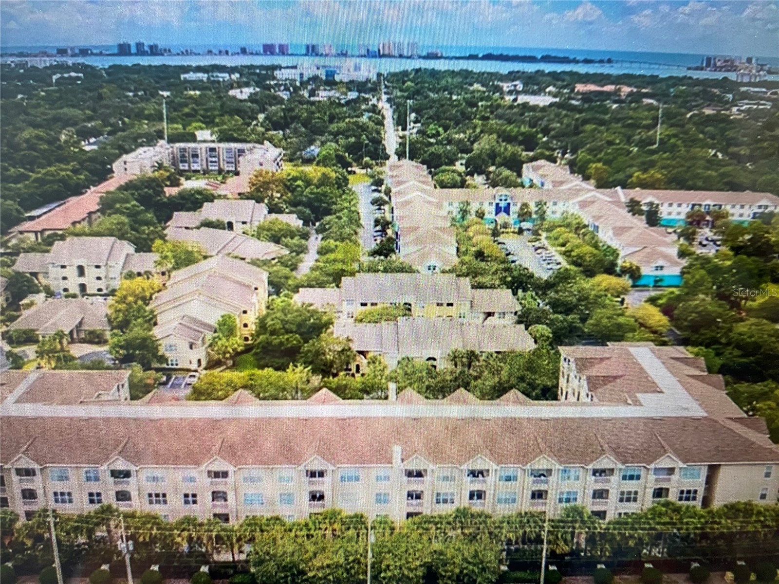 1216 S Missouri Avenue #418 Clearwater FL 33756 TB8481391 image4
