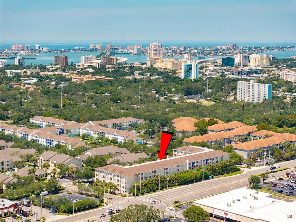 1216 S Missouri Avenue #419 Clearwater FL 33756 TB8421786 image3