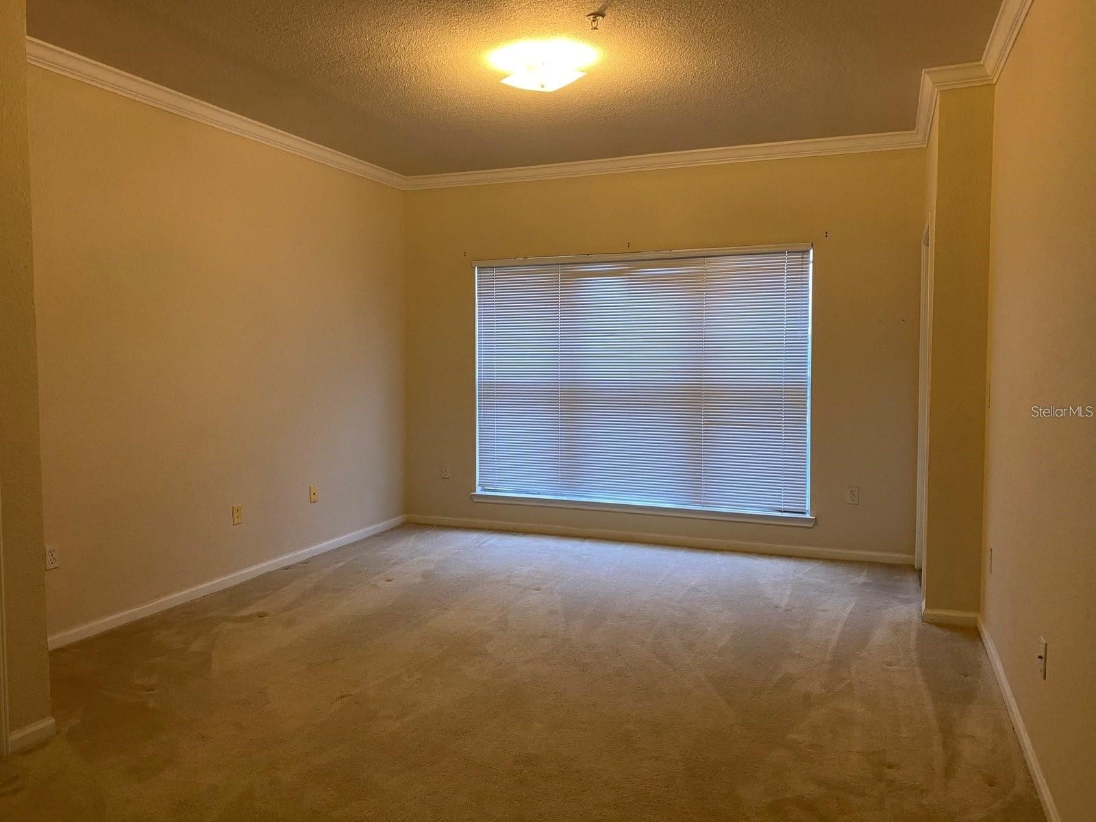 1216 S Missouri Avenue #428 Clearwater FL 33756 TB8512834 image7