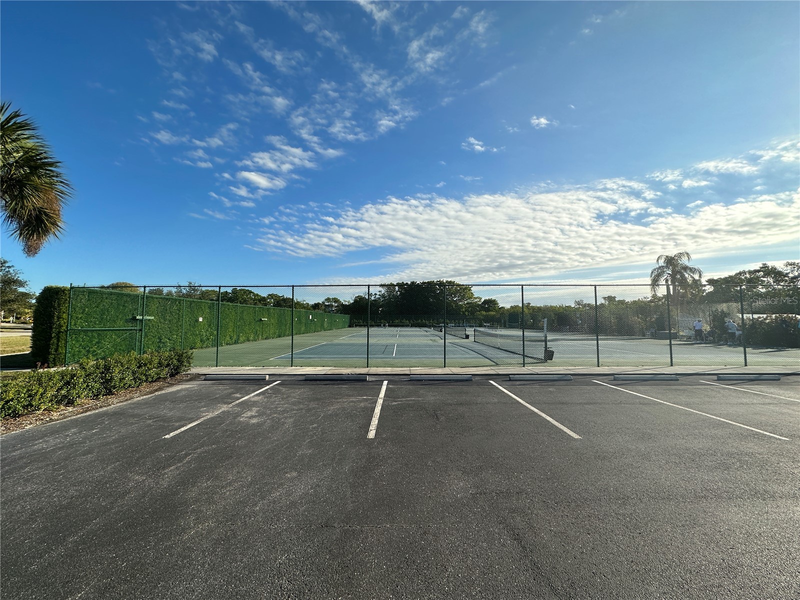 1216 Spoonbill Landings Circle Bradenton FL 34209 - PALMA SOLA BAY A4684070 image37