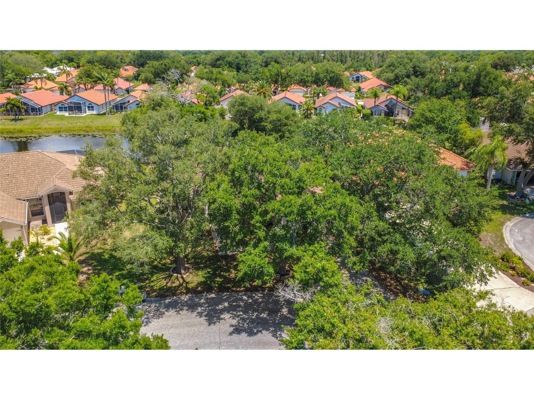1216 Whitney Drive Venice FL 34292 S5150595 image3