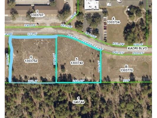 12160 Kadri Boulevard Spring Hill FL 34608 W7839798 image1