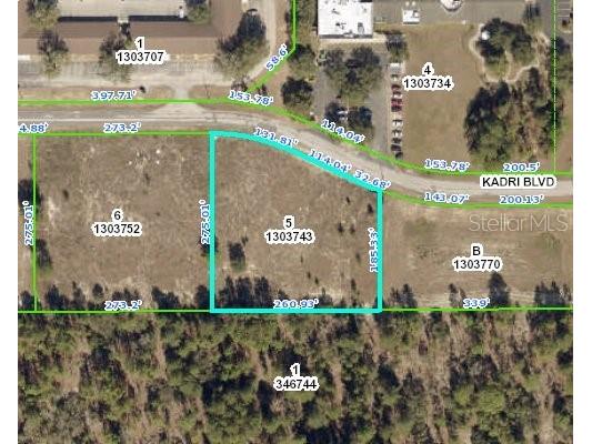 12160 Kadri Boulevard Spring Hill FL 34608 W7839798 image2