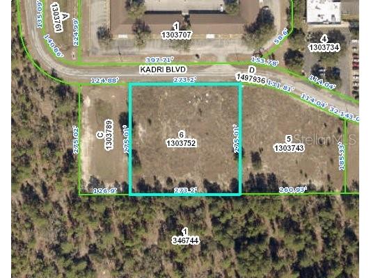 12160 Kadri Boulevard Spring Hill FL 34608 W7839798 image3