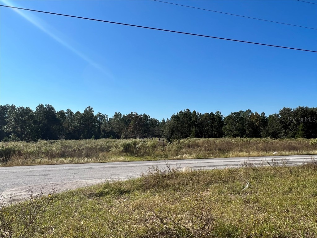 12160 Kadri Boulevard Spring Hill FL 34608 W7839798 image4