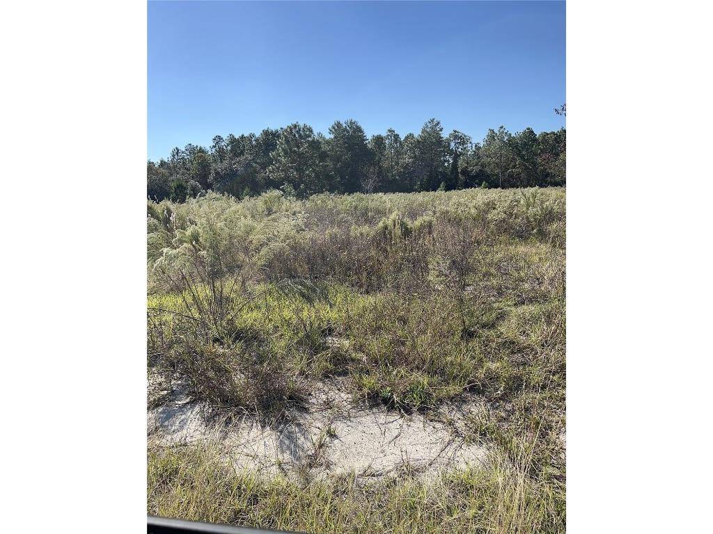 12160 Kadri Boulevard Spring Hill FL 34608 W7839798 image7