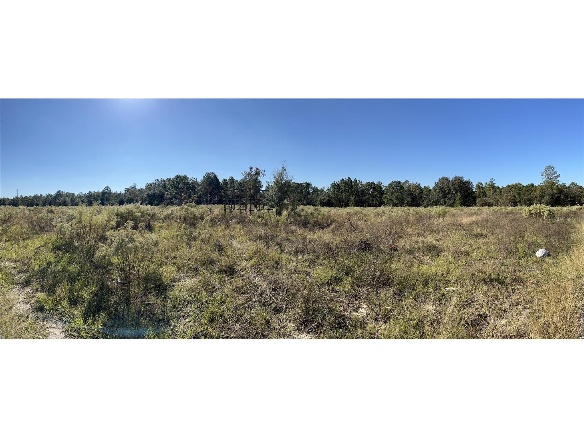 12160 Kadri Boulevard Spring Hill FL 34608 W7839798 image8