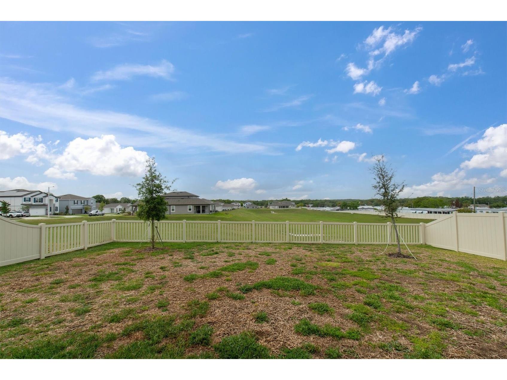 12163 Stirrup Drive Dade City FL 33525 TB8490388 image39