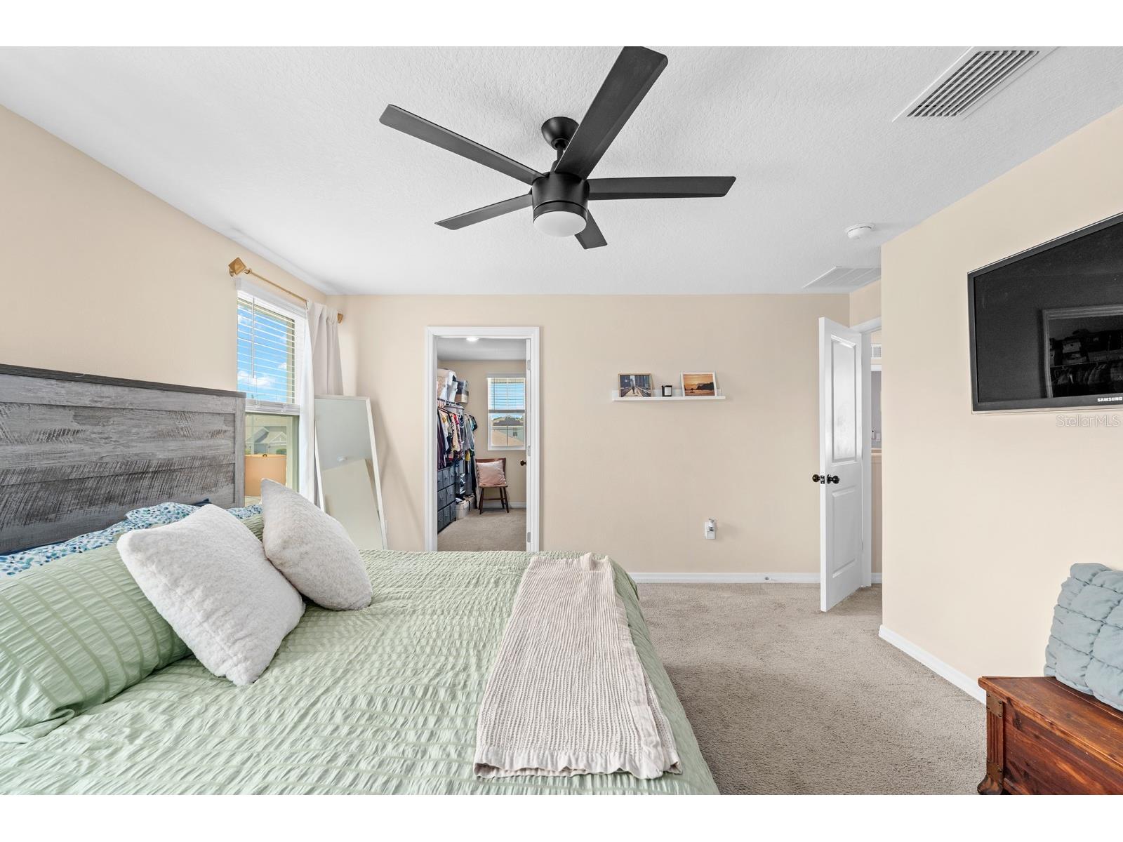 12164 Lily Magnolia Lane Riverview FL 33569 TB8493643 image21