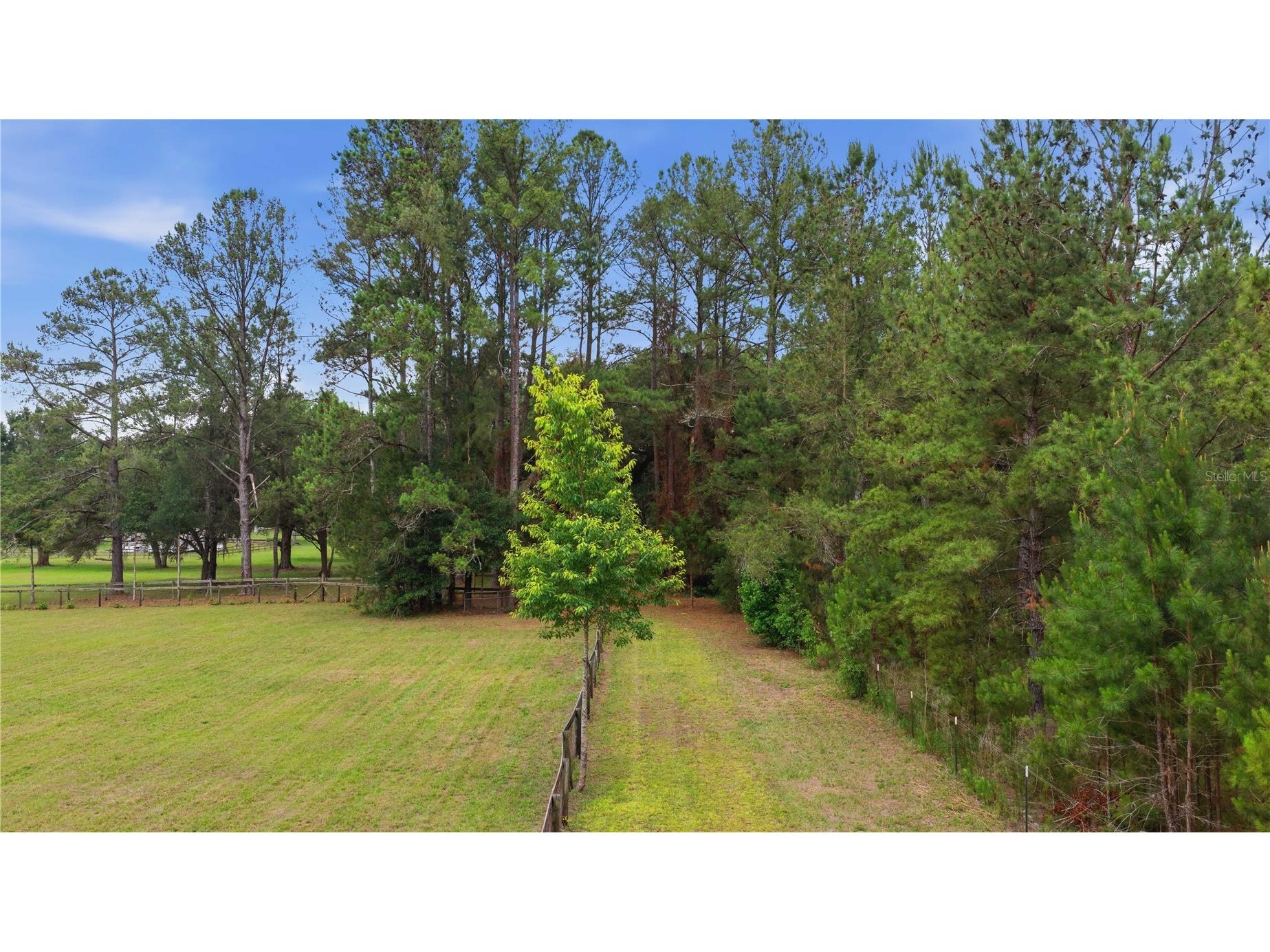12165 W Highway 326 Ocala FL 34482 OM725415 image17