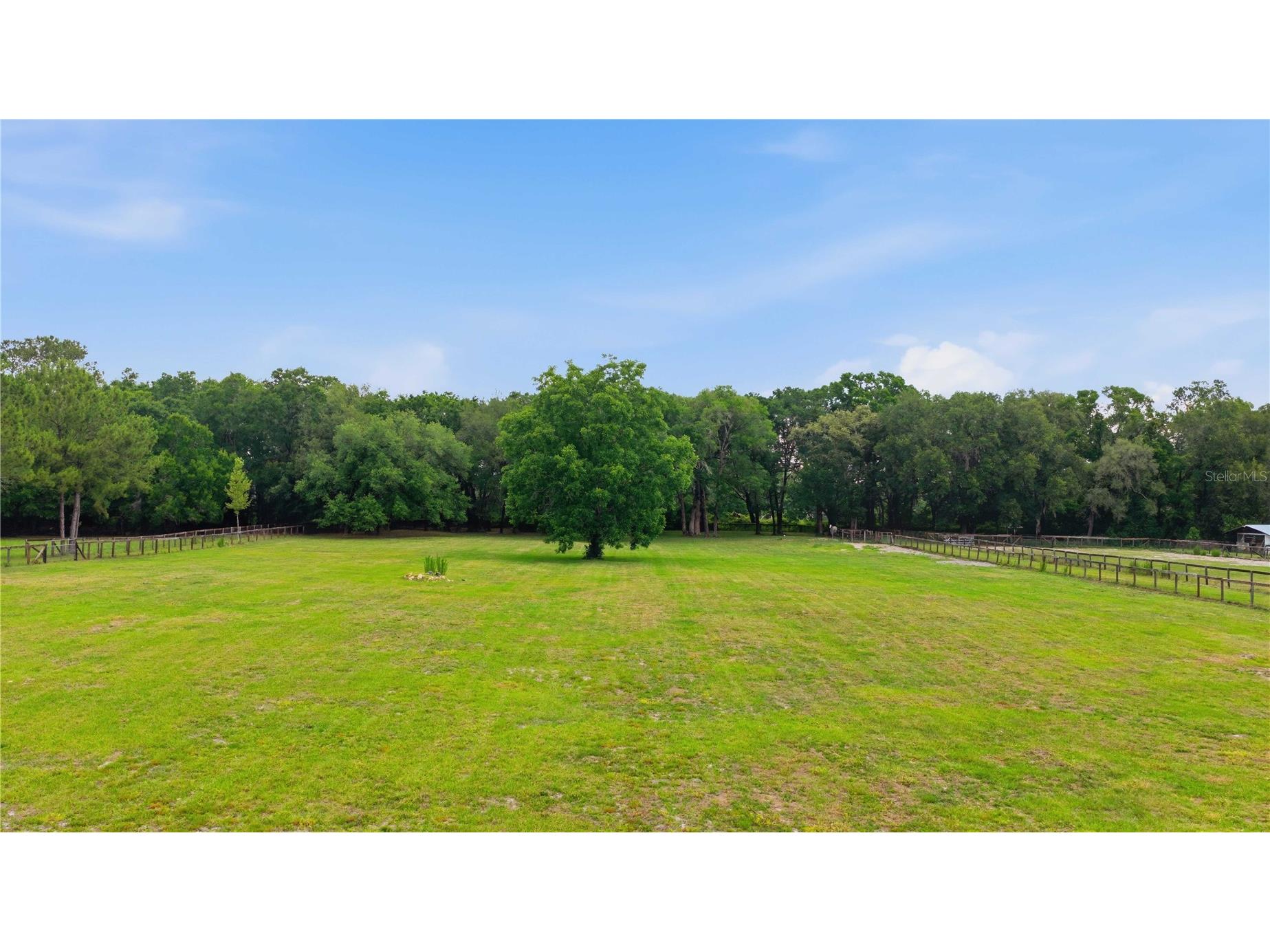 12165 W Highway 326 Ocala FL 34482 OM725415 image2