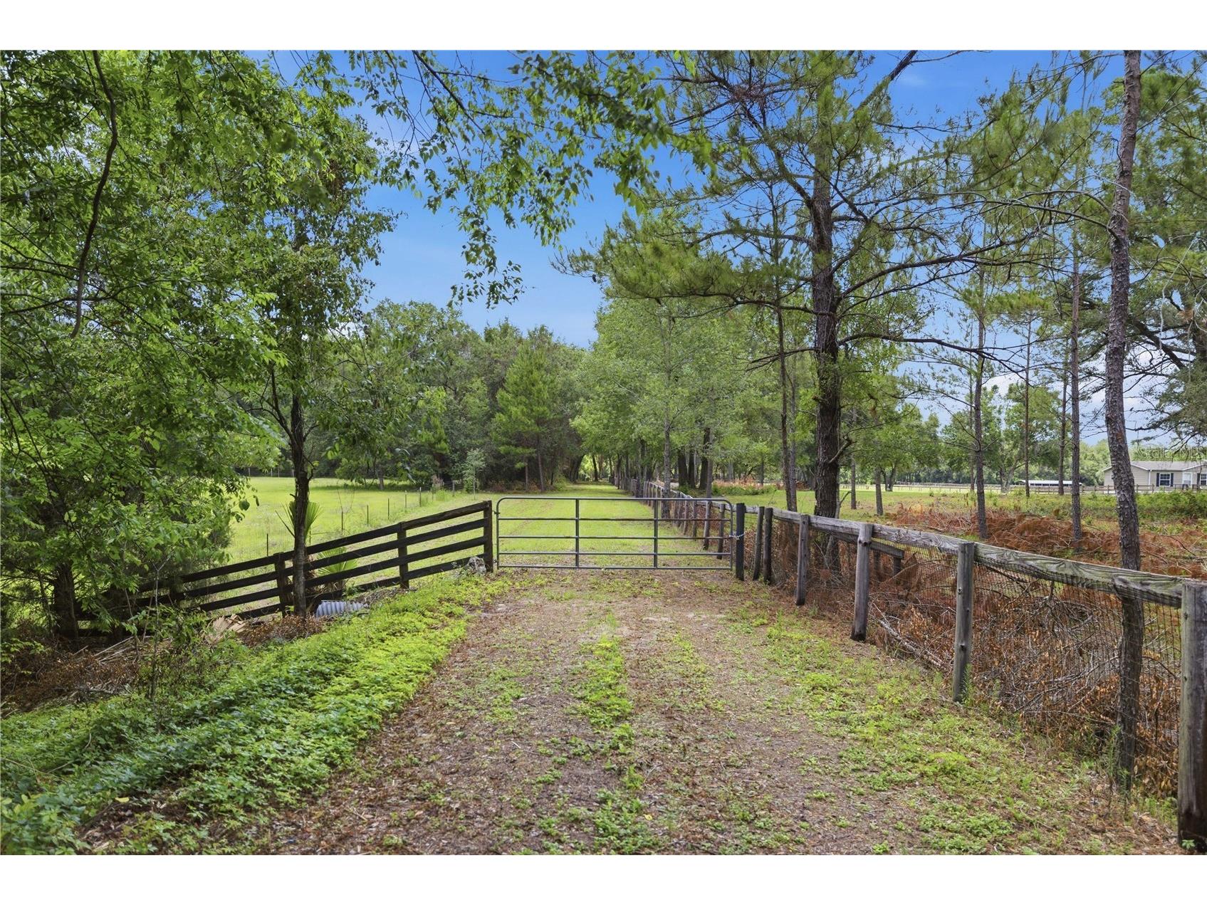 12165 W Highway 326 Ocala FL 34482 OM725415 image21