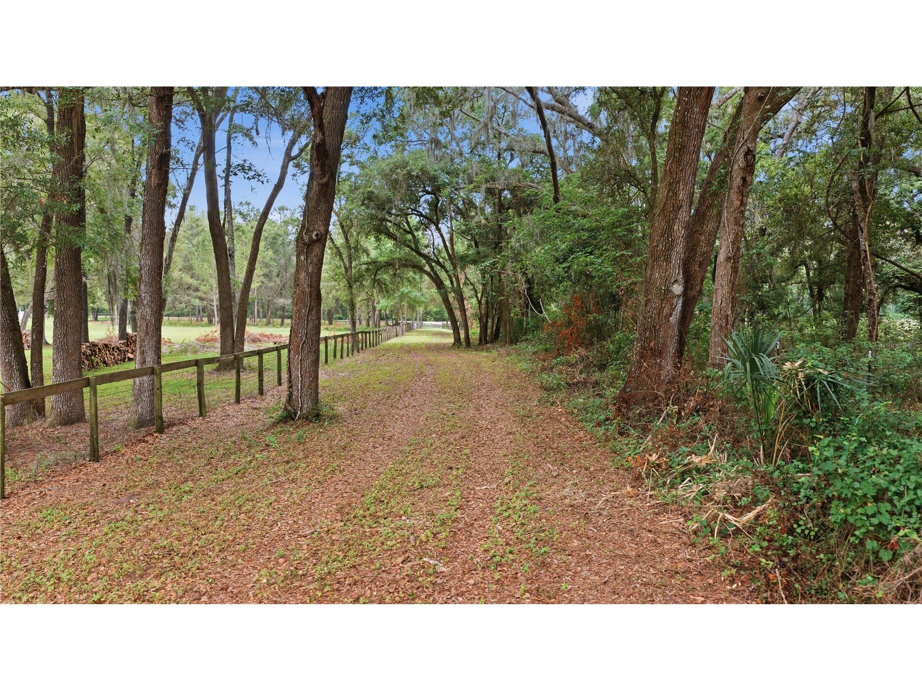 12165 W Highway 326 Ocala FL 34482 OM725415 image22