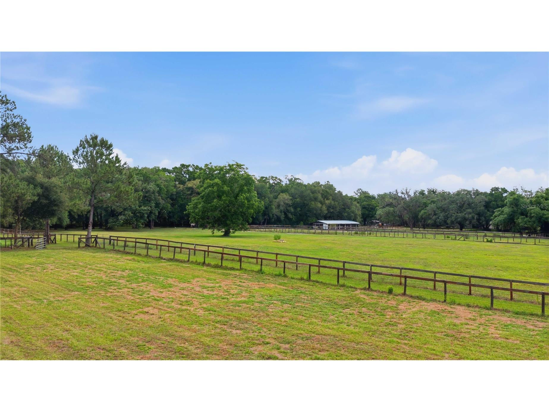 12165 W Highway 326 Ocala FL 34482 OM725415 image4