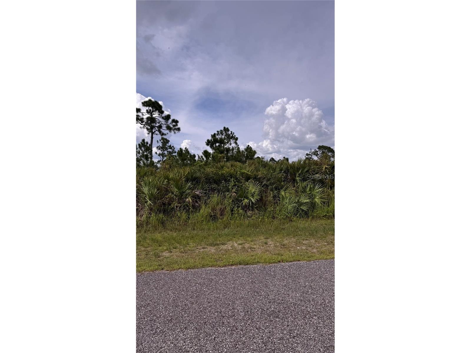 12166 Ashley Avenue Port Charlotte FL 33981 C7515893 image6