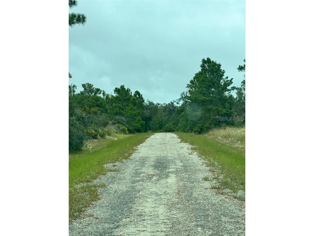 1217 & 1219 Cacao Road Lake Placid FL 33852 - CANAL CONNECTS BOTH LAKE CARRI S5134950 image1