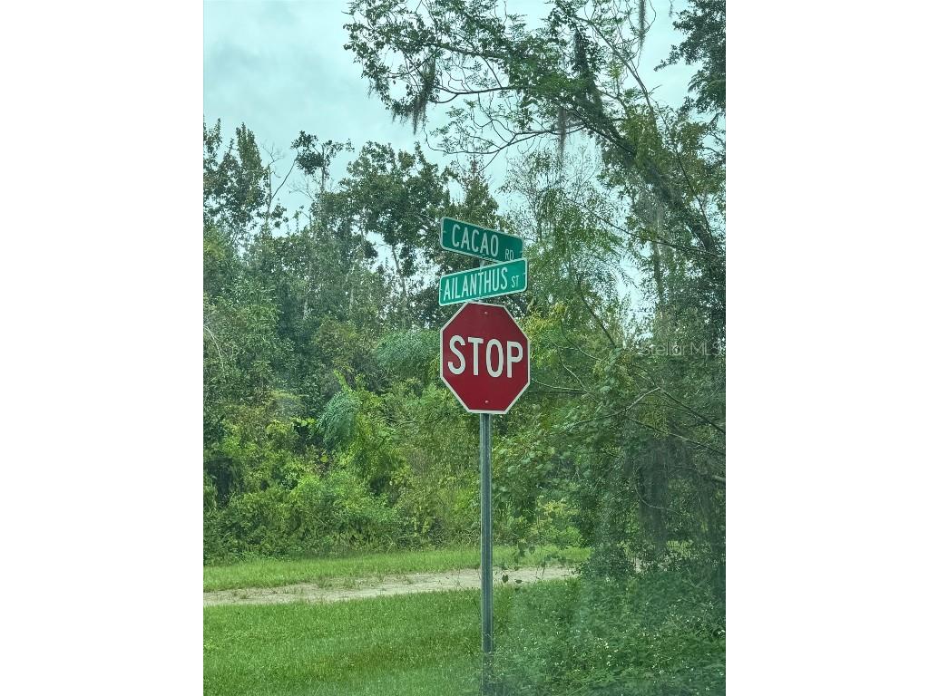 1217 & 1219 Cacao Road Lake Placid FL 33852 - CANAL CONNECTS BOTH LAKE CARRI S5134950 image2