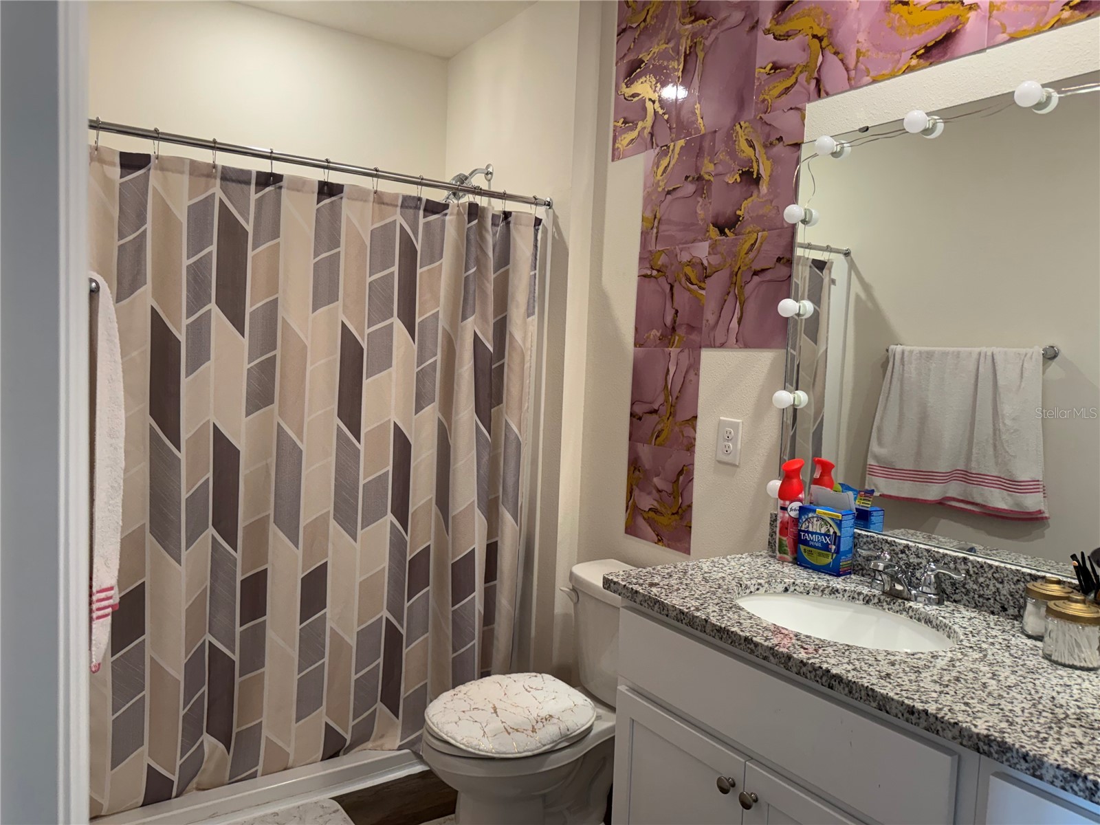 1217 Balsam Drive Davenport FL 33837 S5151638 image8