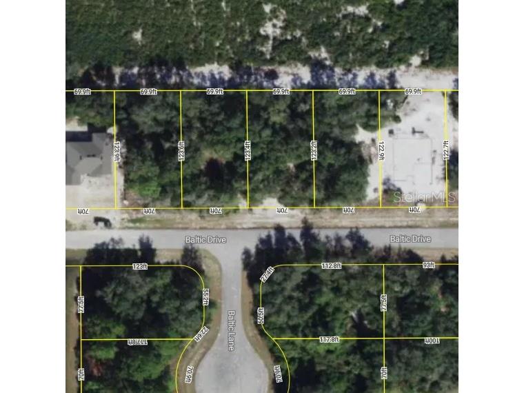 1217 Baltic Drive Poinciana FL 34759 O6424915 image1