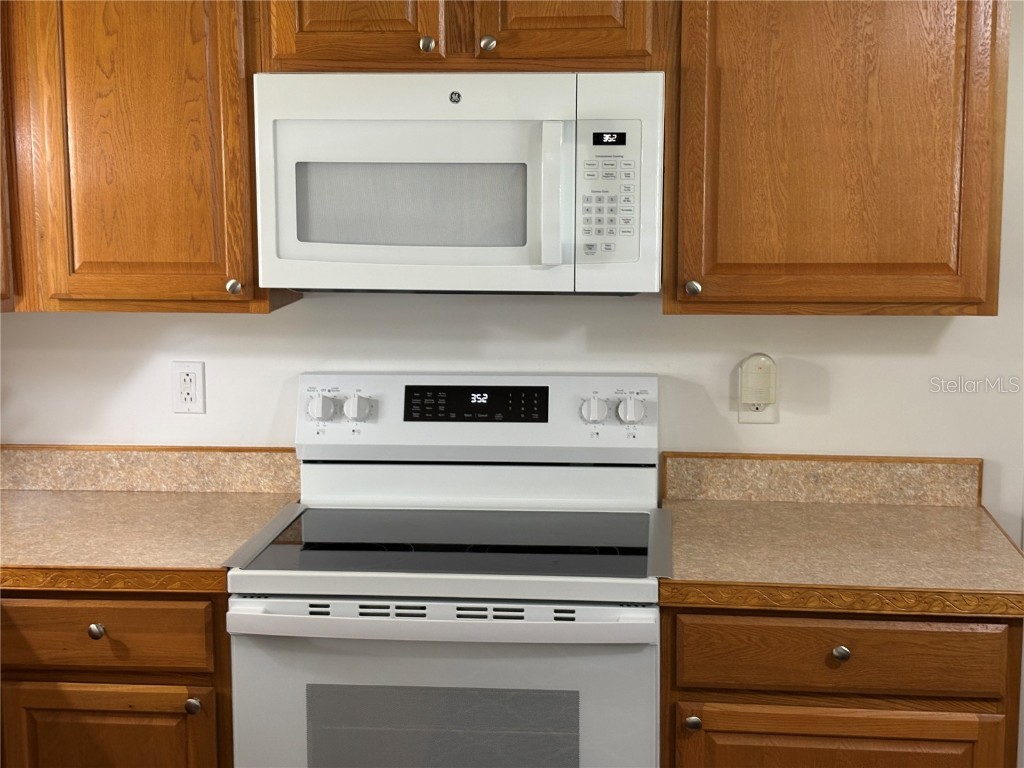 1217 Cr 440a Lake Panasoffkee FL 33538 G5100299 image19