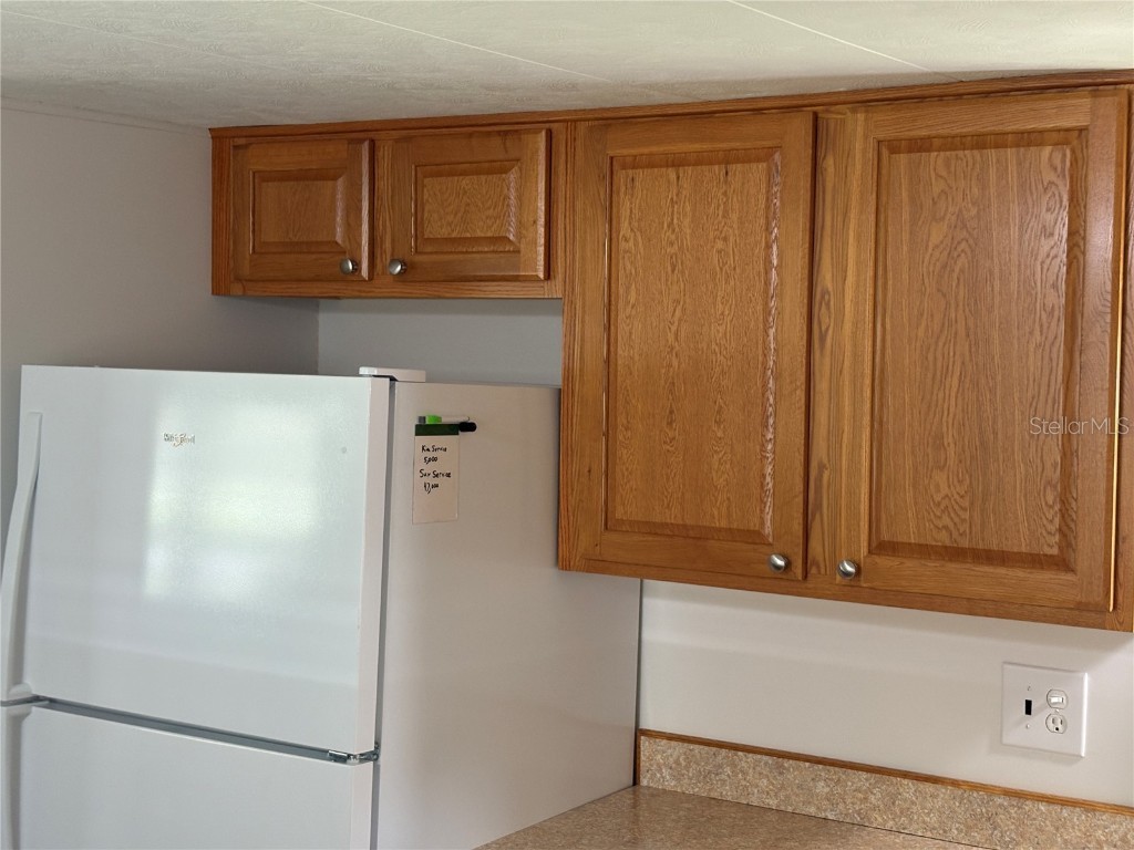 1217 Cr 440a Lake Panasoffkee FL 33538 G5100299 image20