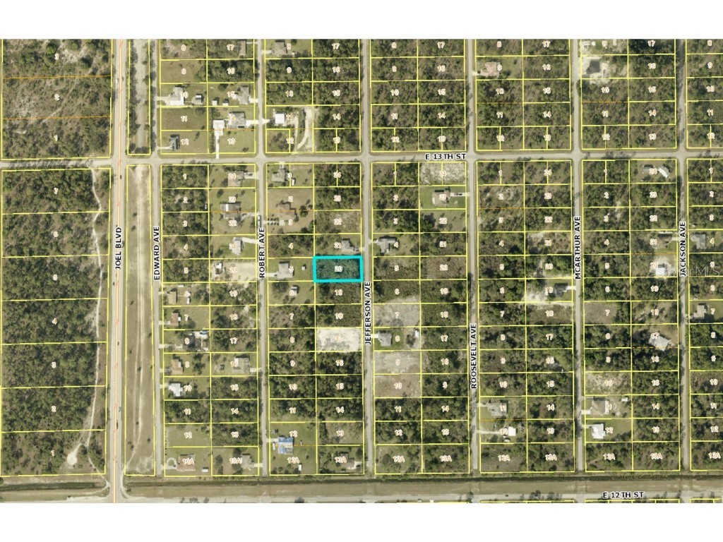 1217 Jefferson Avenue Lehigh Acres FL 33972 O6213543 image1