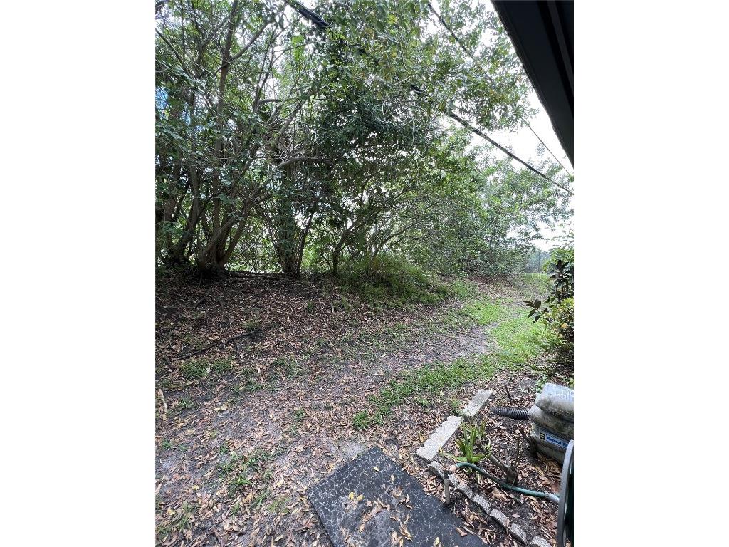 1217 N Mcmullen Booth Road Clearwater FL 33759 TB8337407 image36