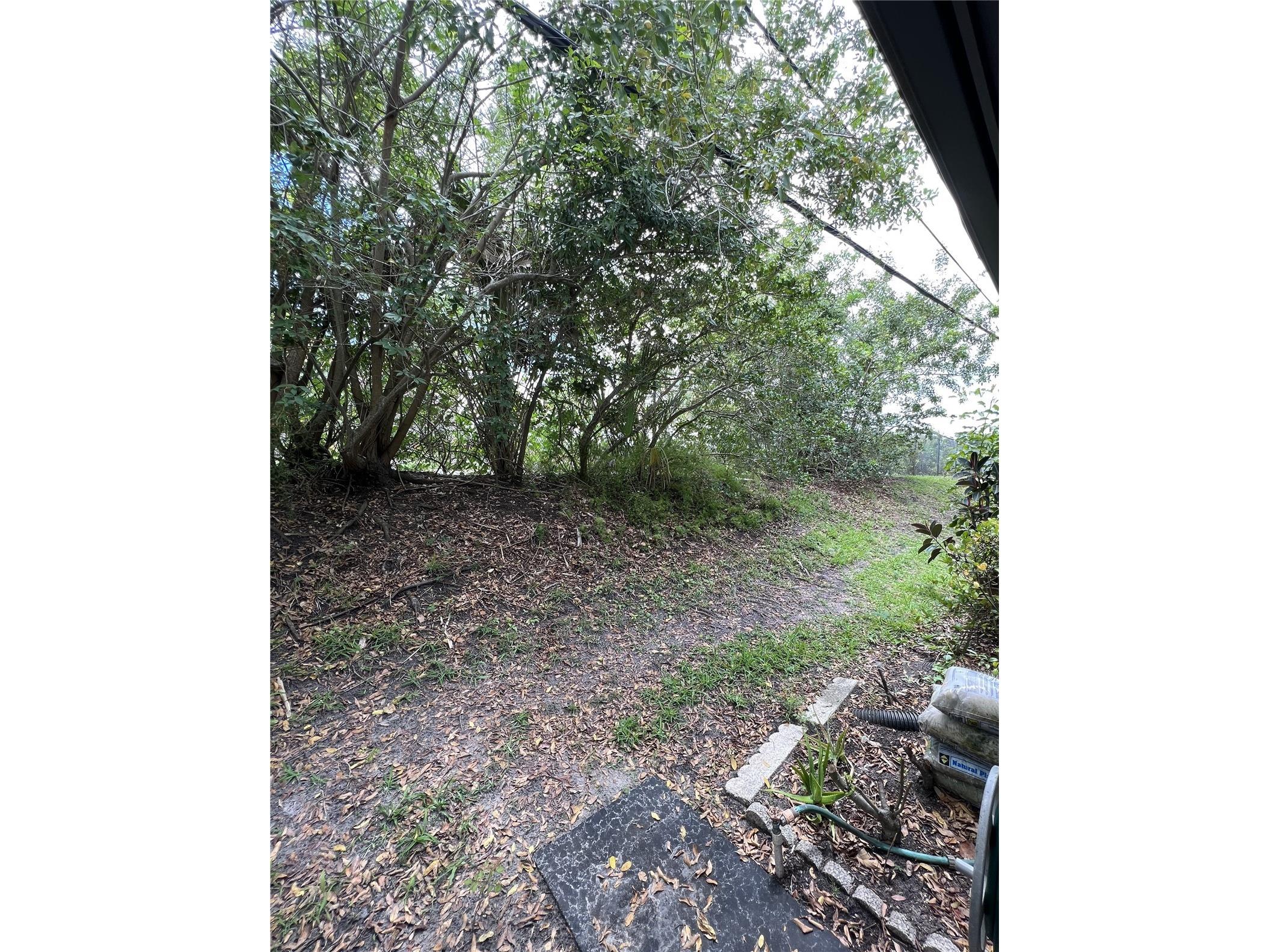 1217 N Mcmullen Booth Road Clearwater FL 33759 TB8484455 image36